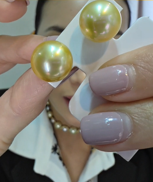 SSP Gold Stud Earrings