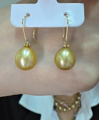 SSP Gold Hook Earrings